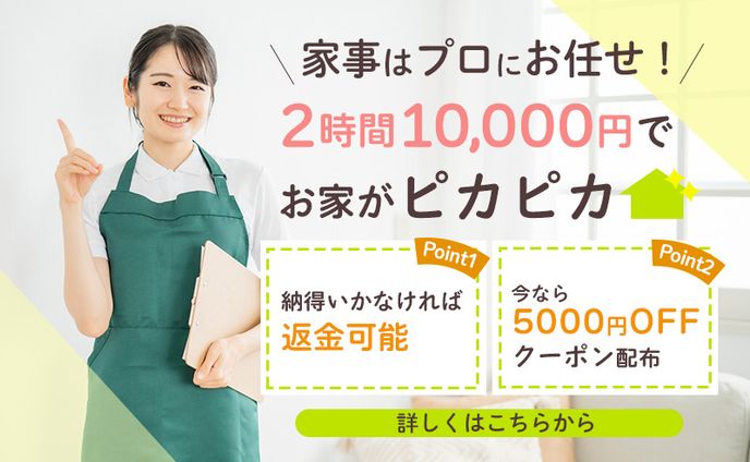 web design、セミナー