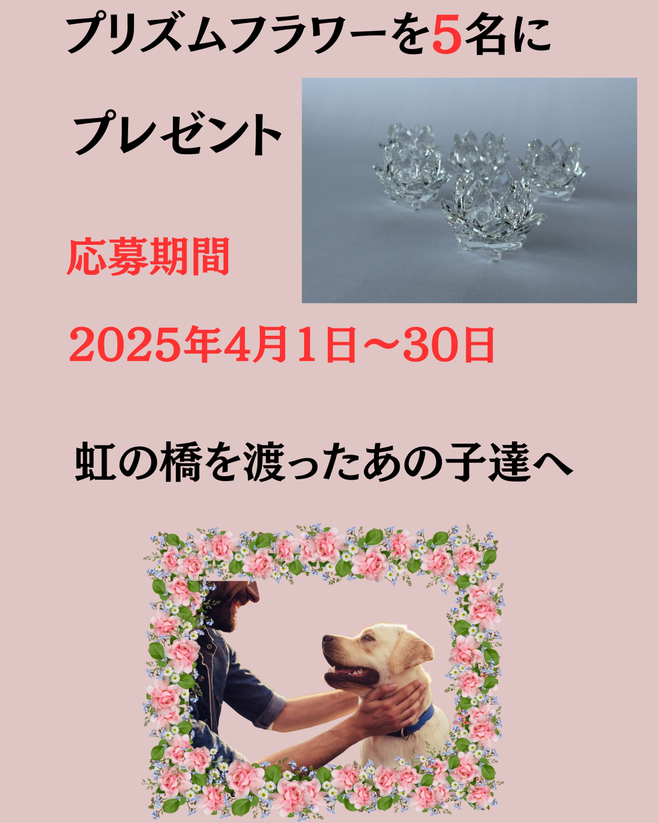 最愛のペットのプレゼントキャンペーン-1