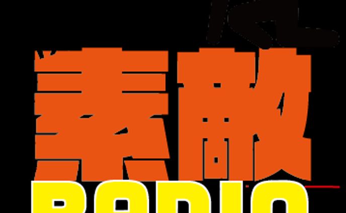 映像ディレクター、vj