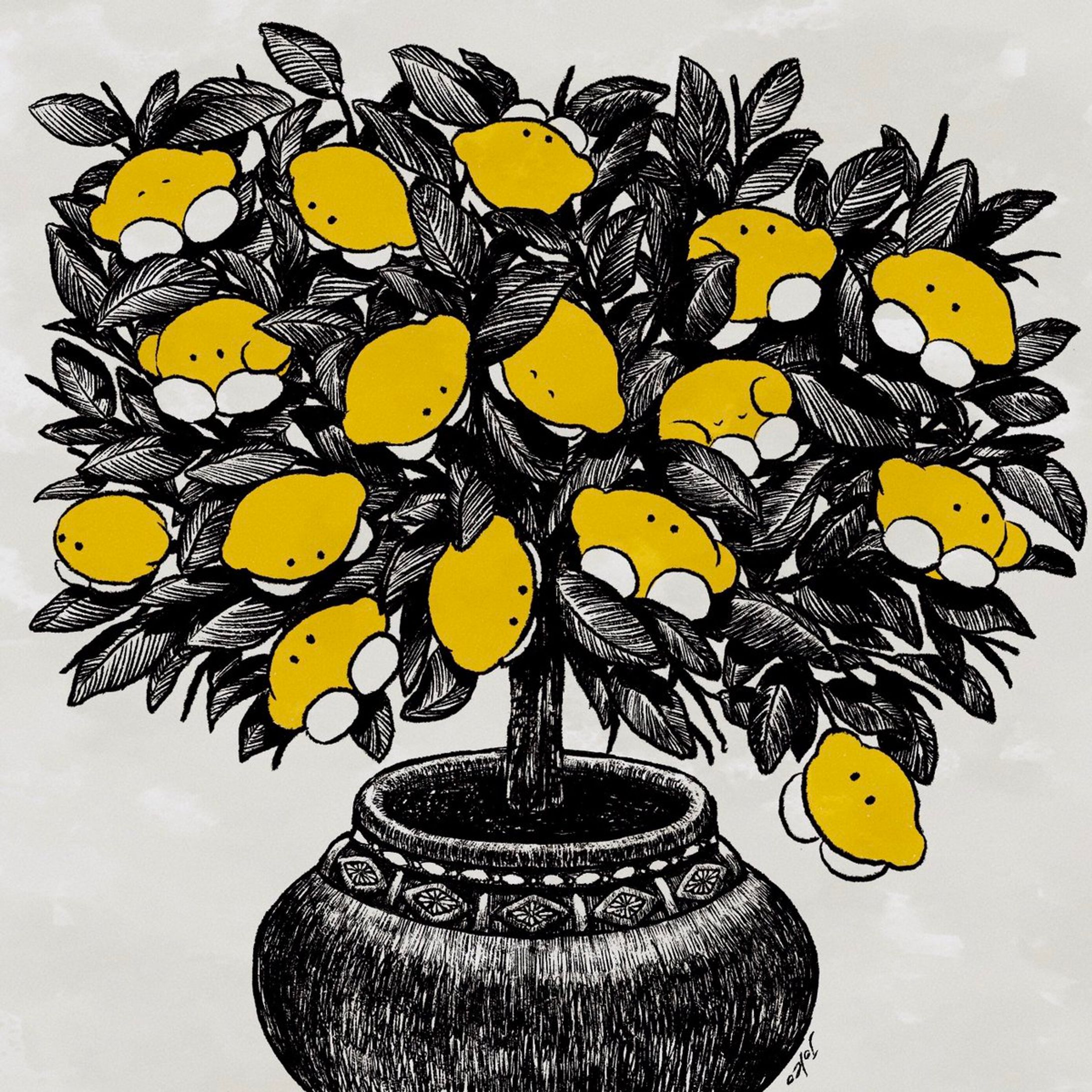 きみはどんなふうにうまれてきたの-1