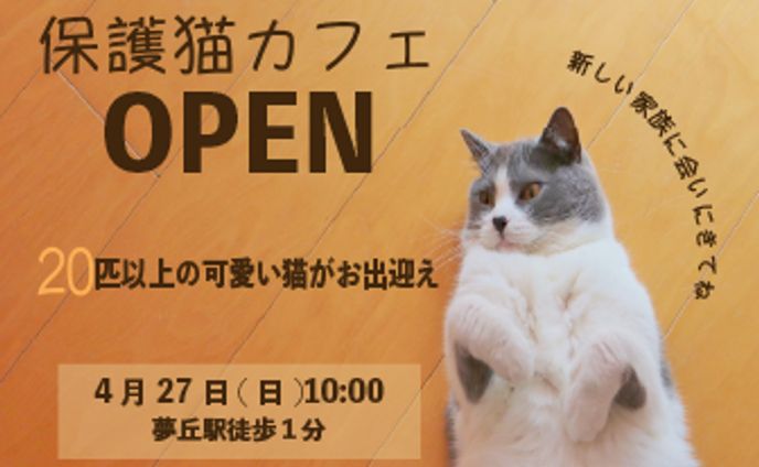 保護猫カフェ