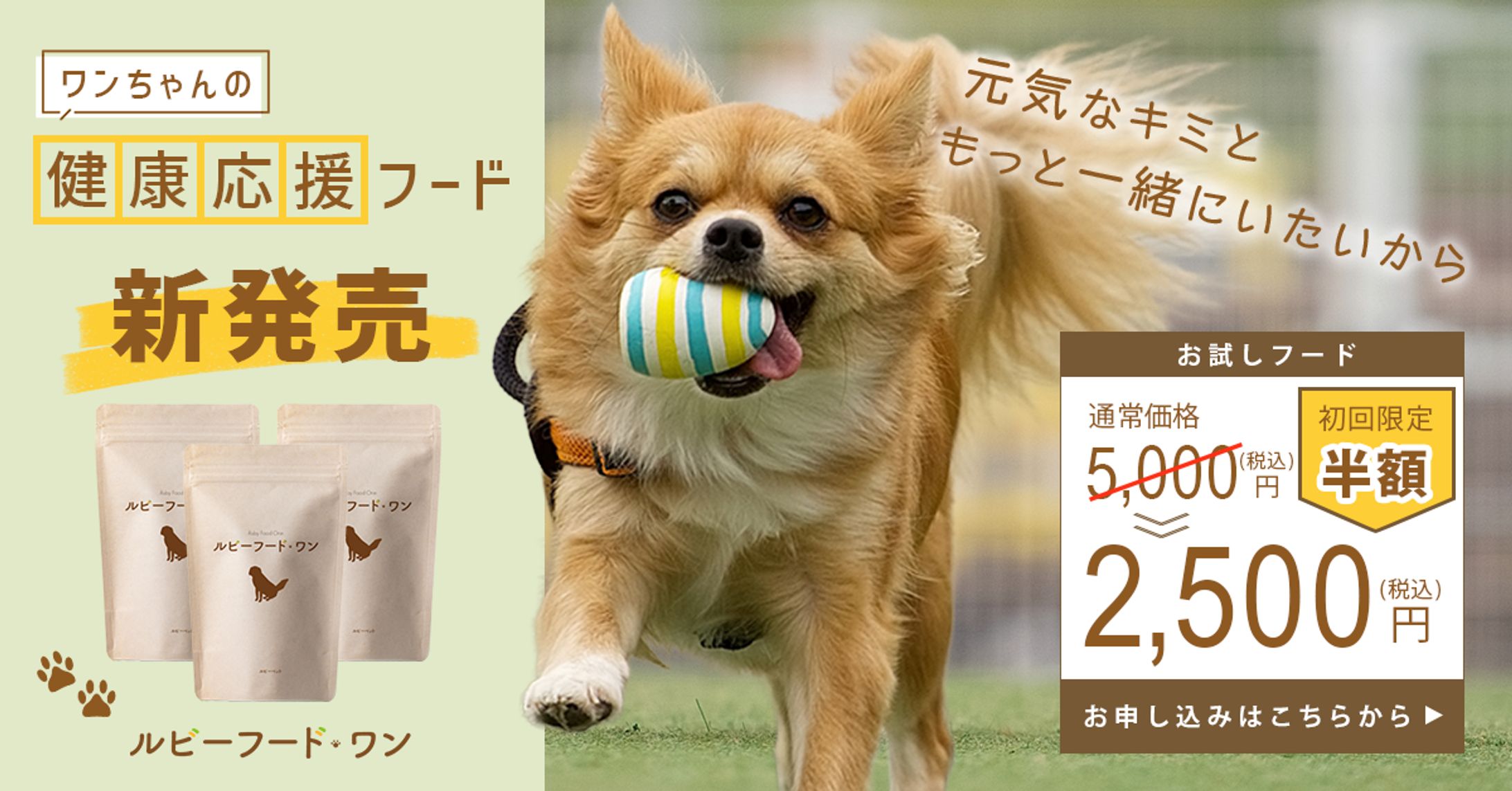 ペットフードバナー-1