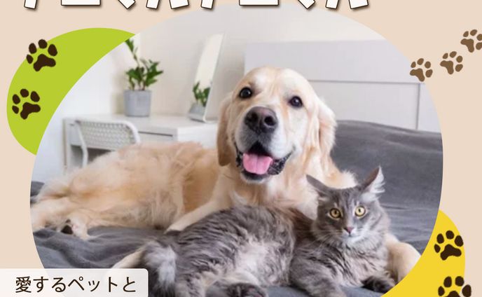 【バナー】ペットリフォーム会社のバナー