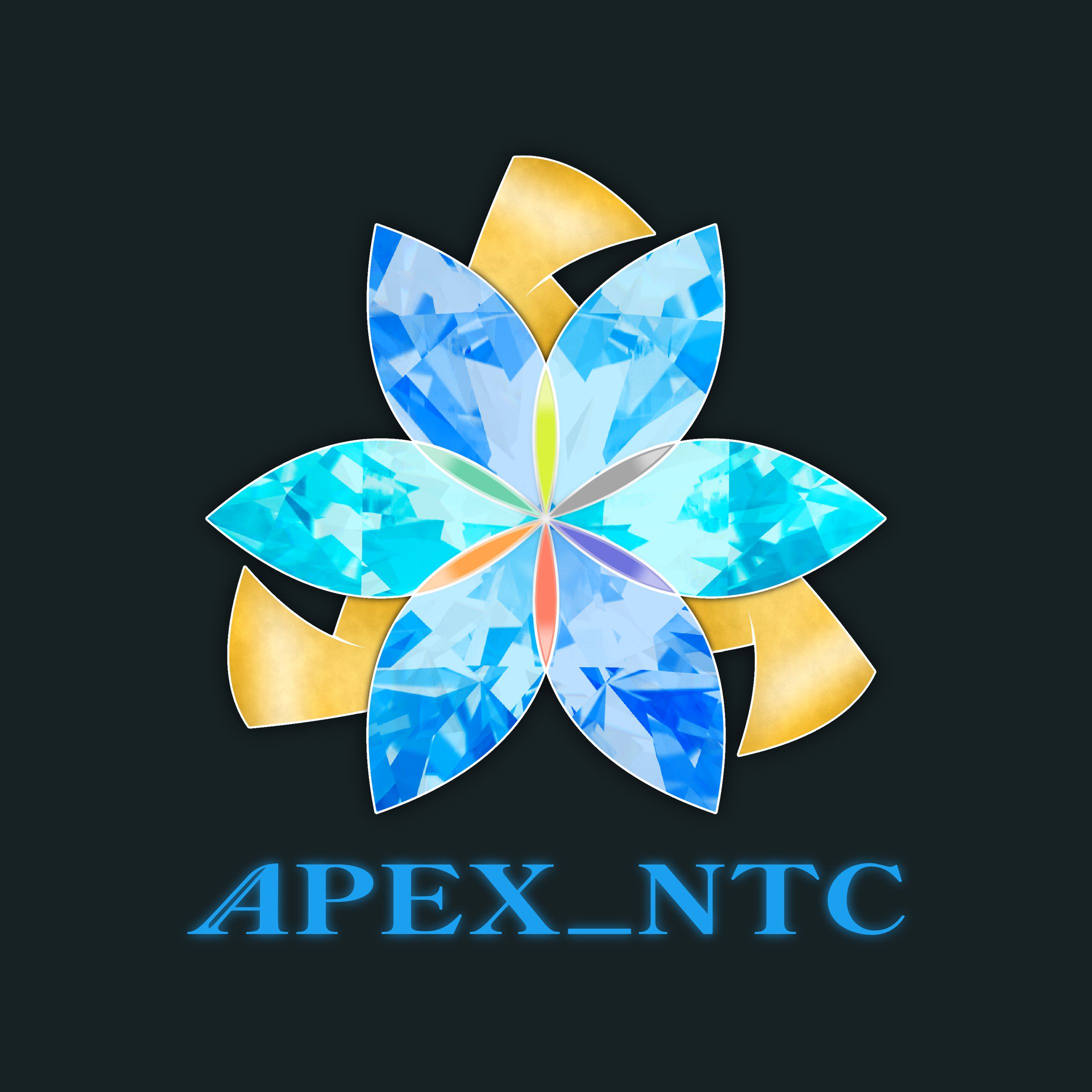 水白ノブチナ様　ロゴデザイン　APEXカスタム大会-1