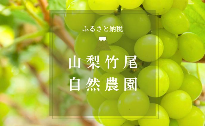 バナー広告 ふるさと納税