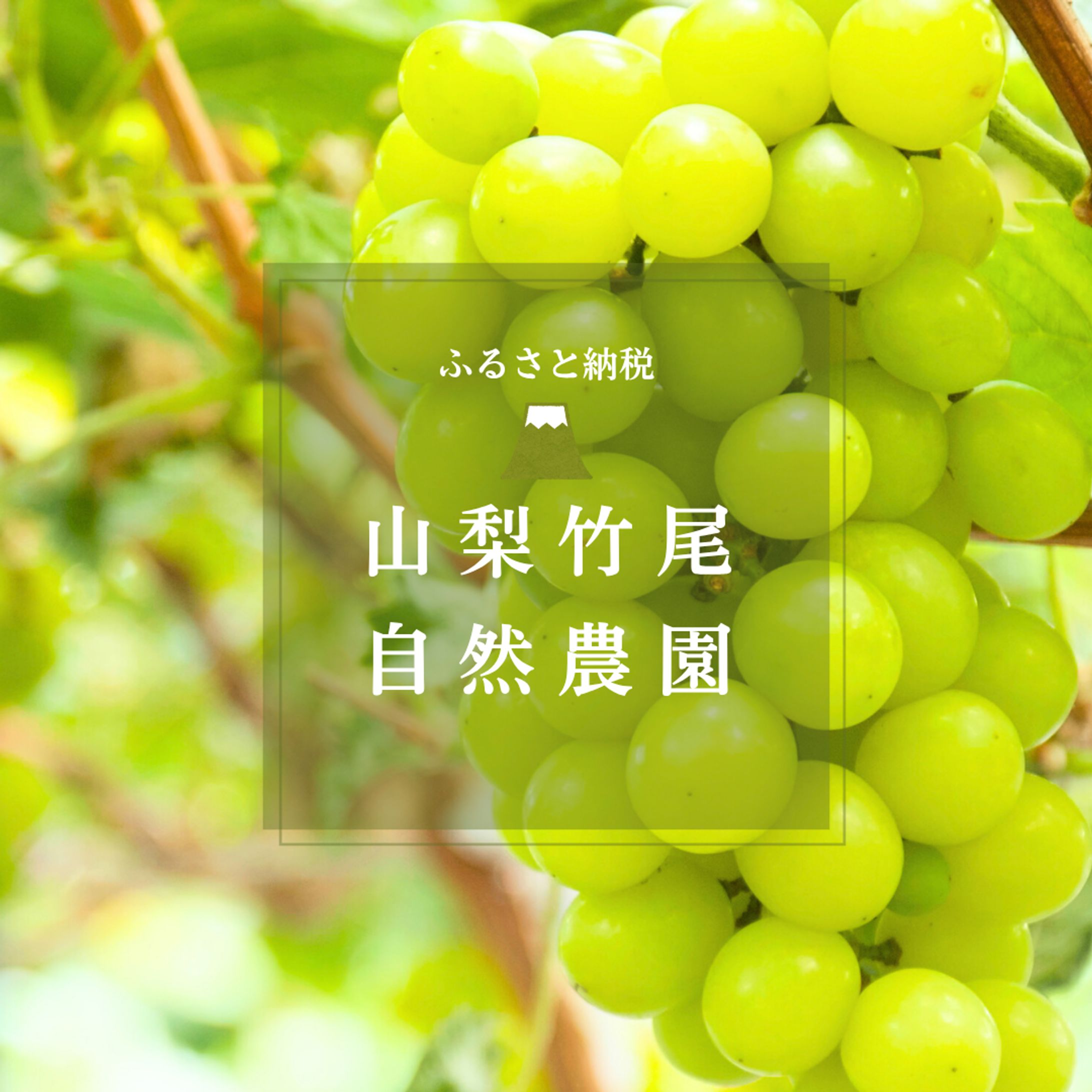 バナー広告 ふるさと納税-1