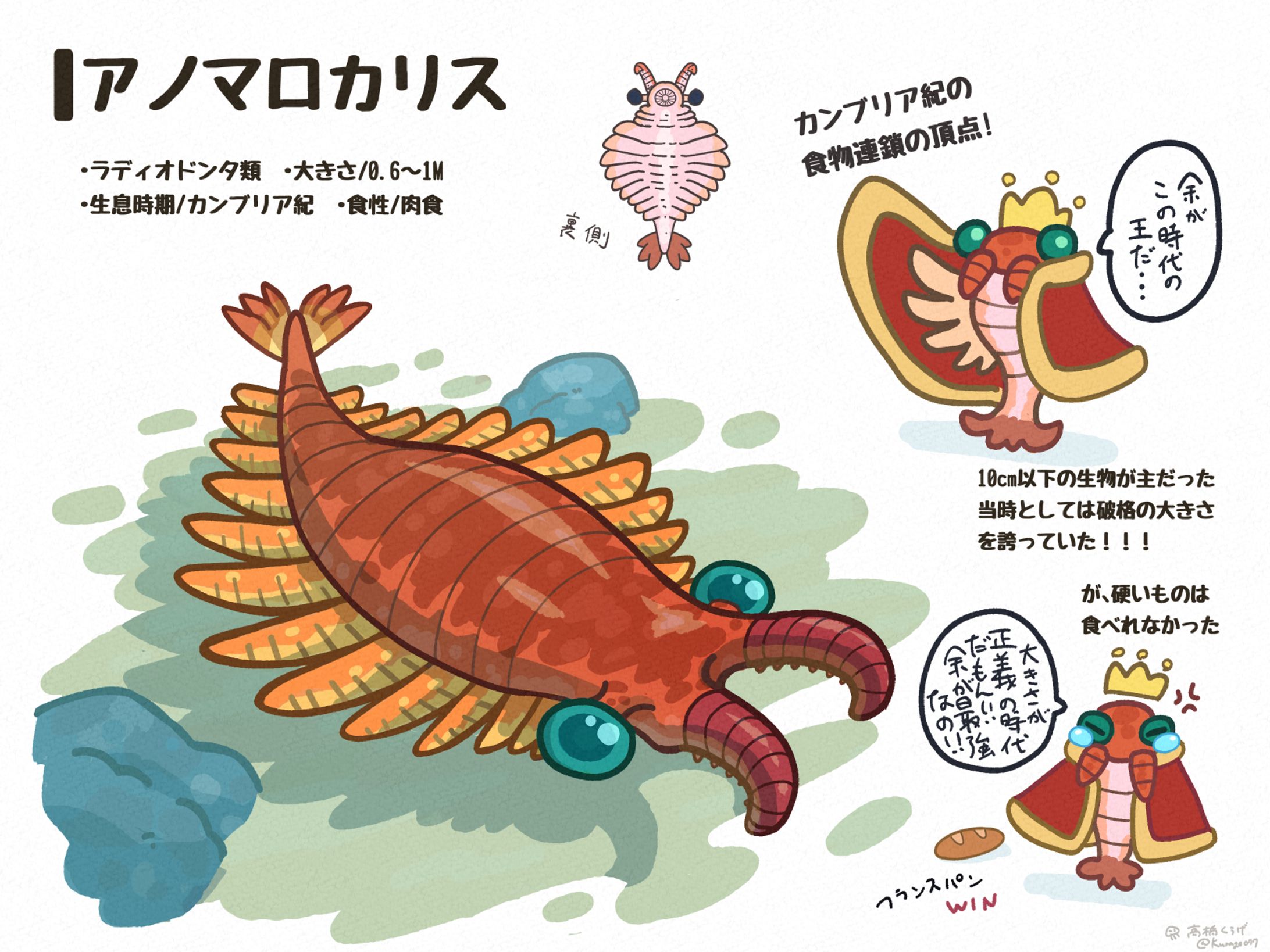 古生物・恐竜解説イラスト-1