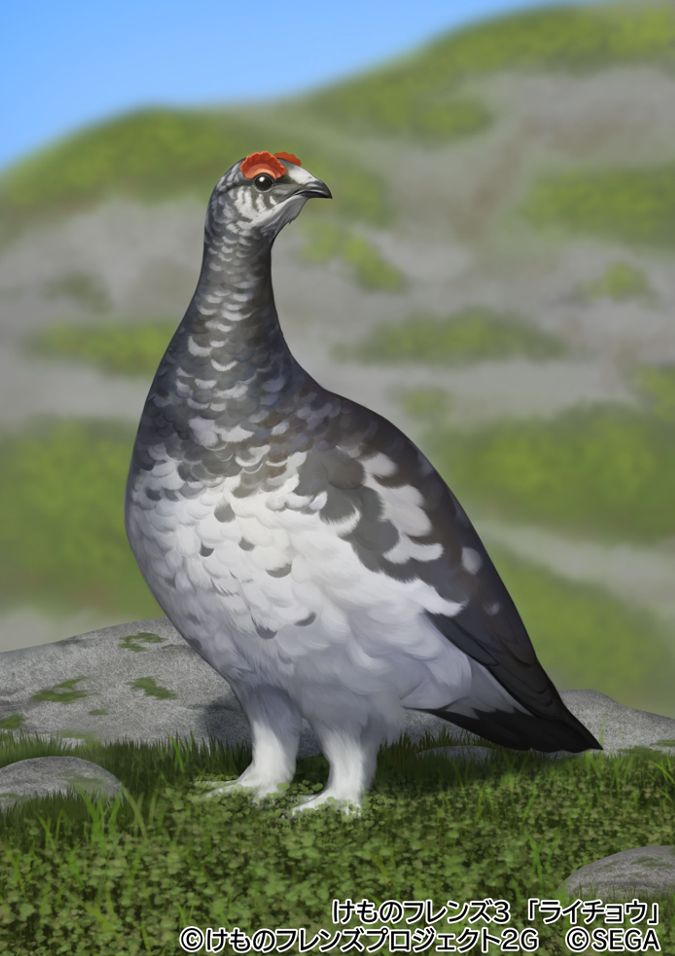 【けものフレンズ３】ライチョウ-1