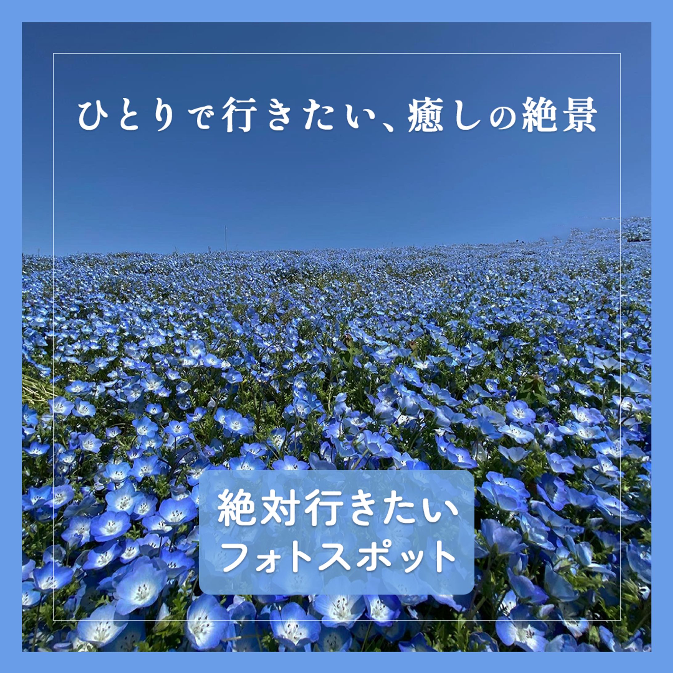 旅行系SNS用バナー-1