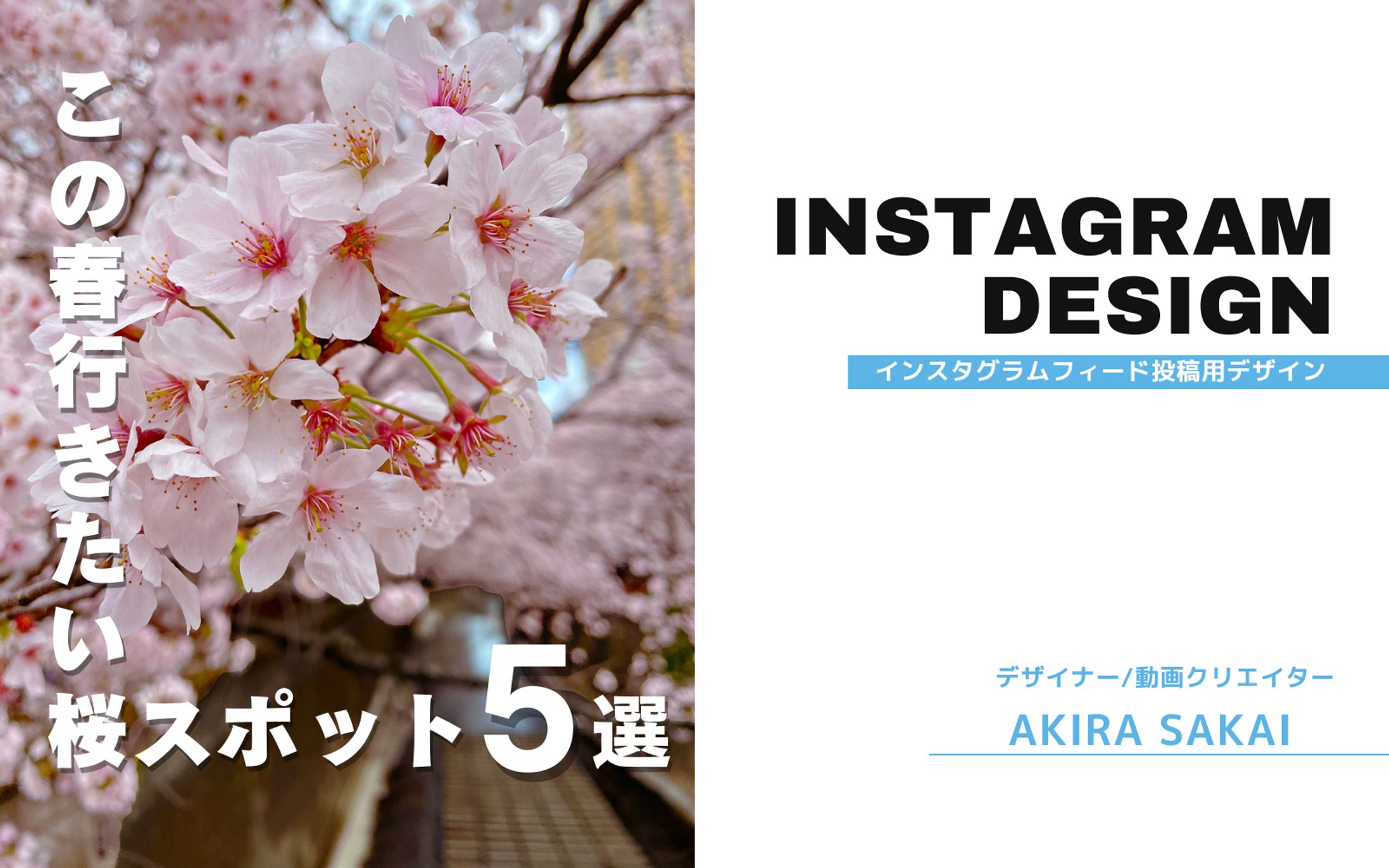 桜スポット-1