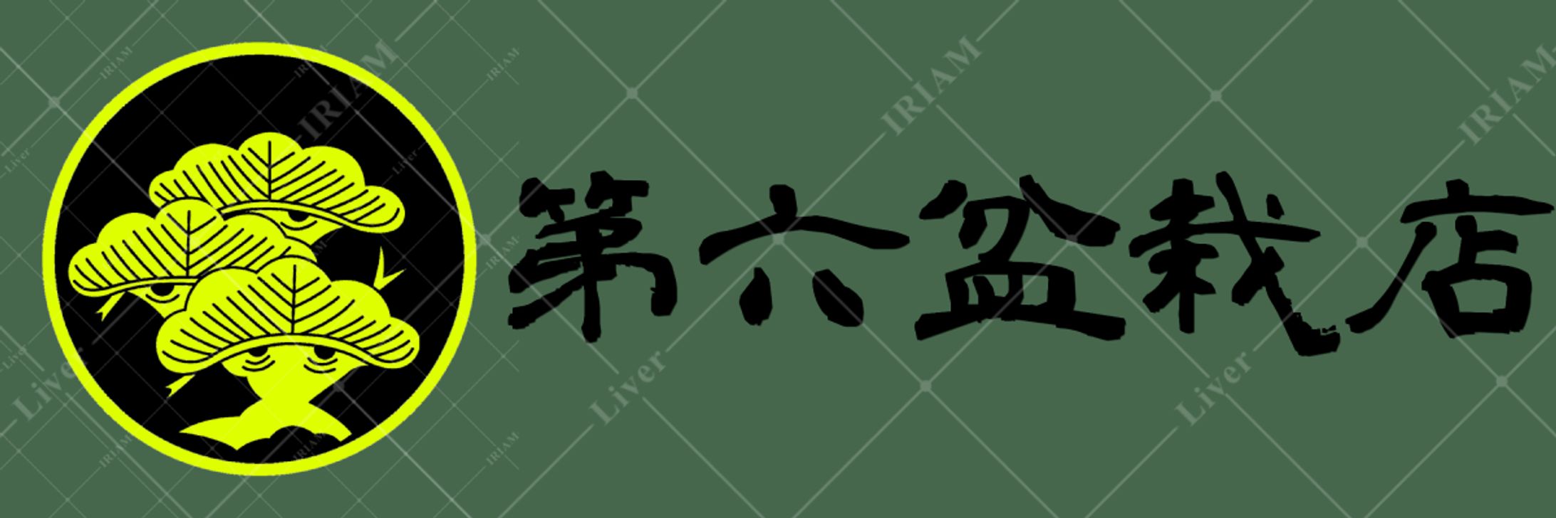 第六盆栽店様 依頼品-1