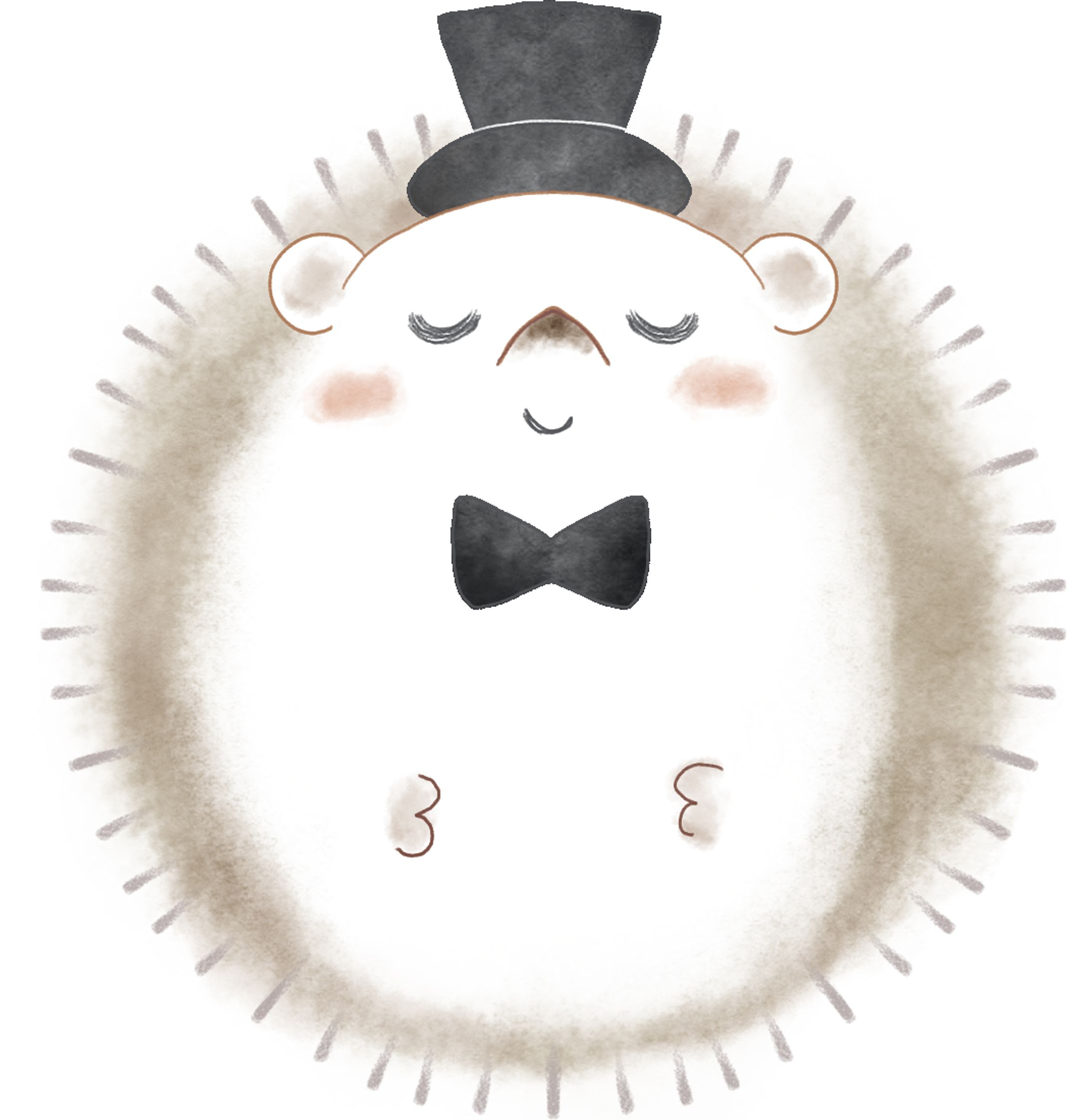 202202 animal hedgehog1-1
