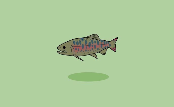 イラストレーター・デザイナー、海の生き物