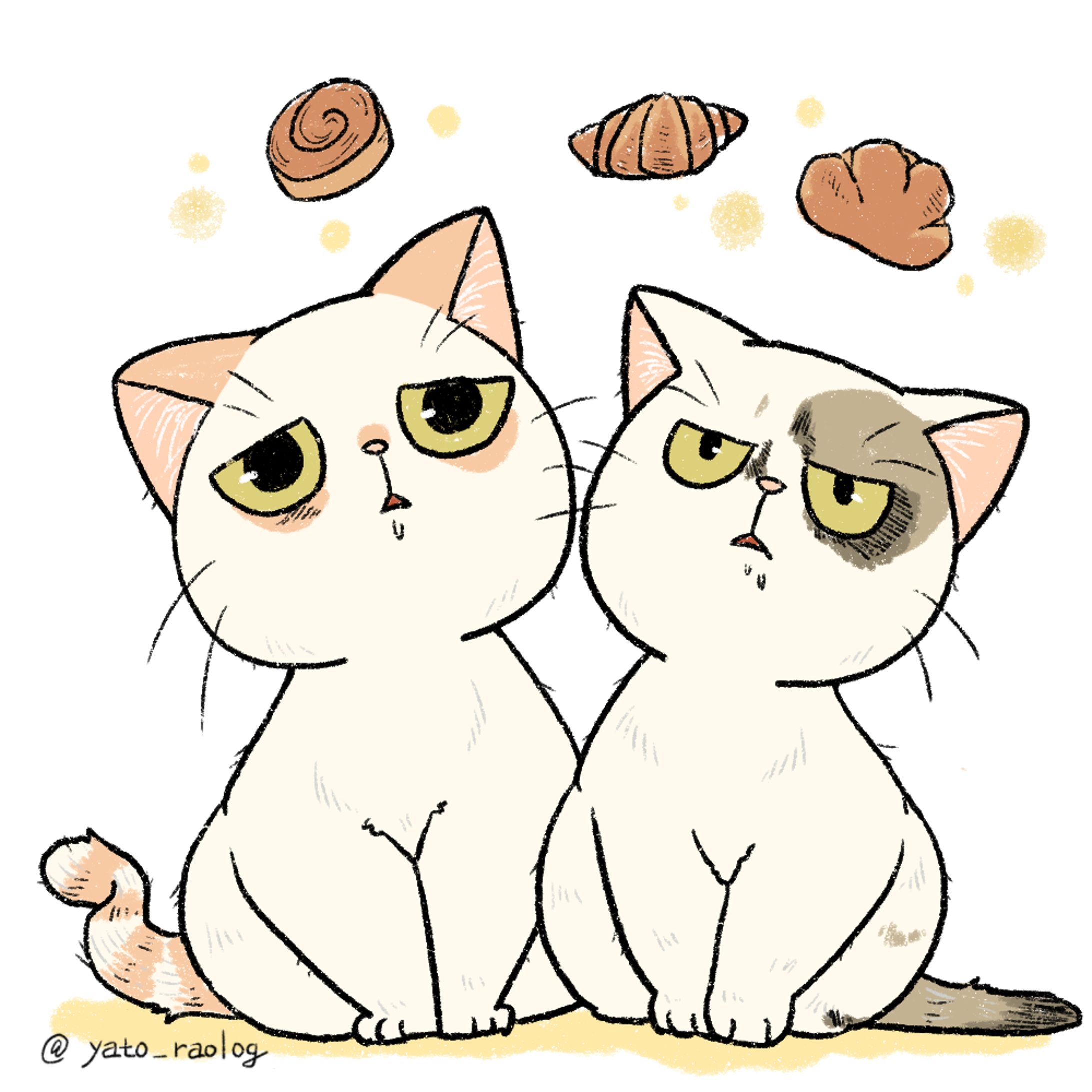 cat illustration５-1