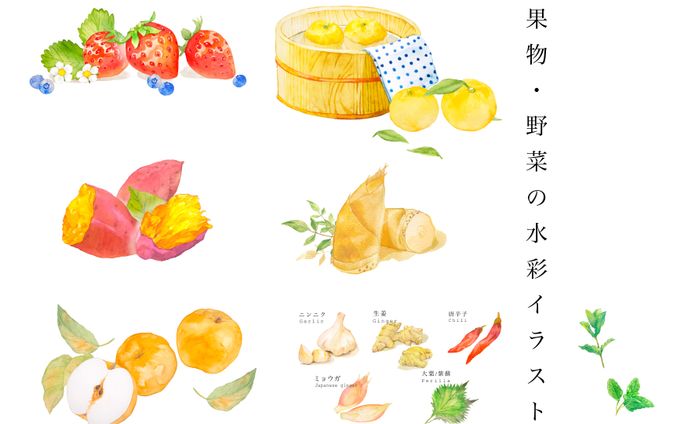 果物・野菜の水彩イラスト
