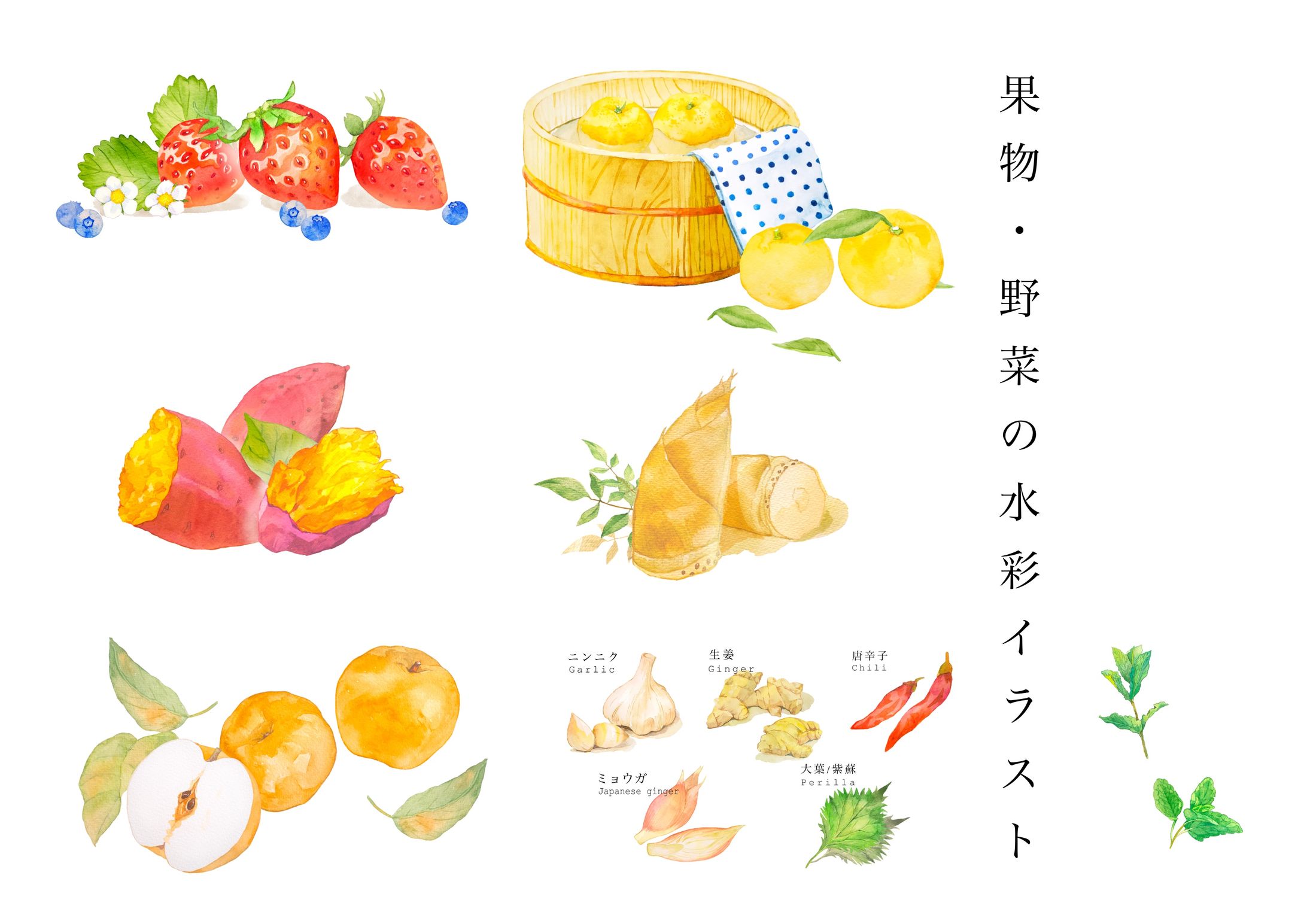 果物・野菜の水彩イラスト-1