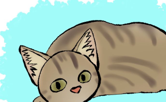 猫、ミキシング・マスタリング