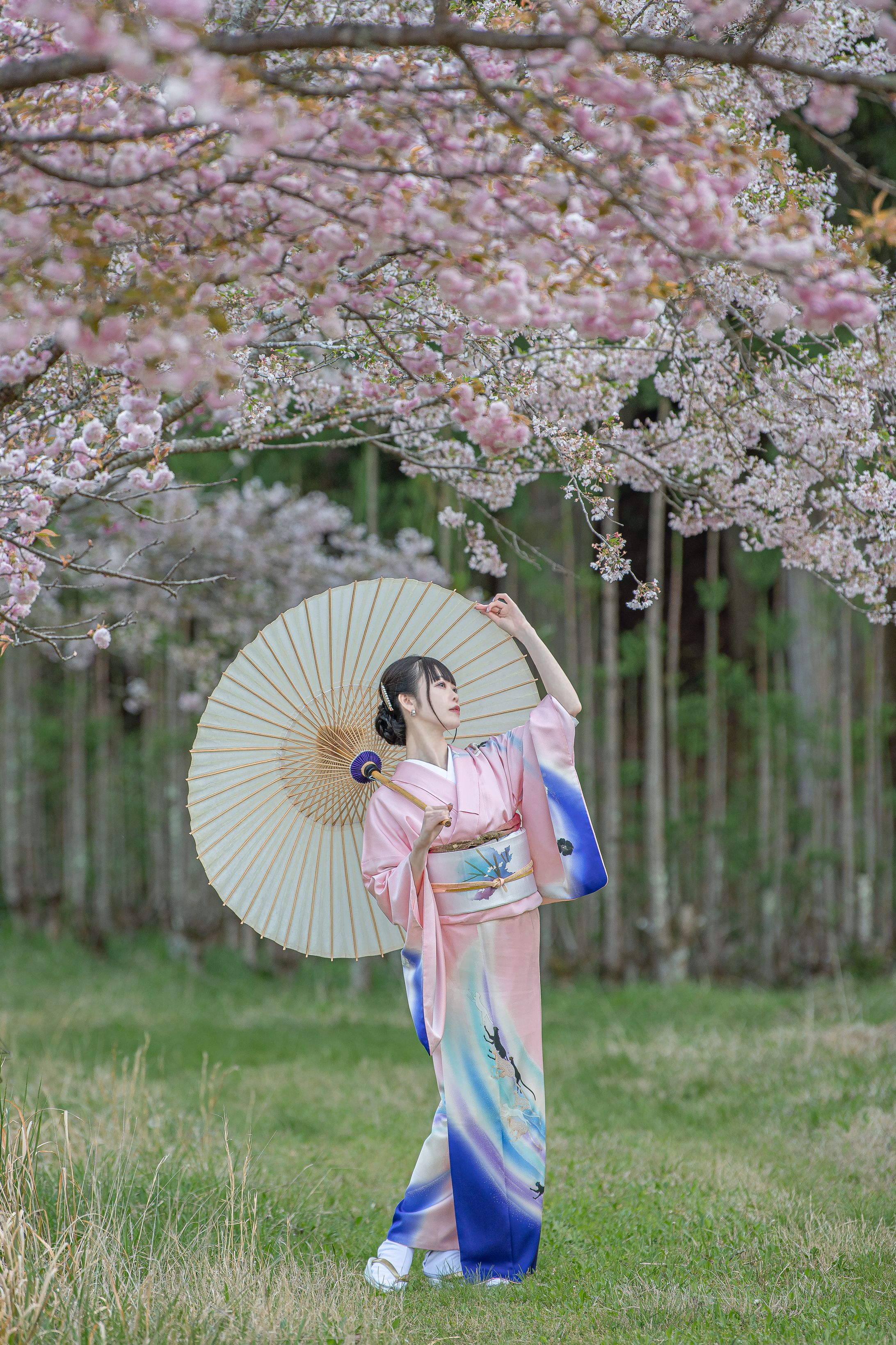 京都着物撮影-1