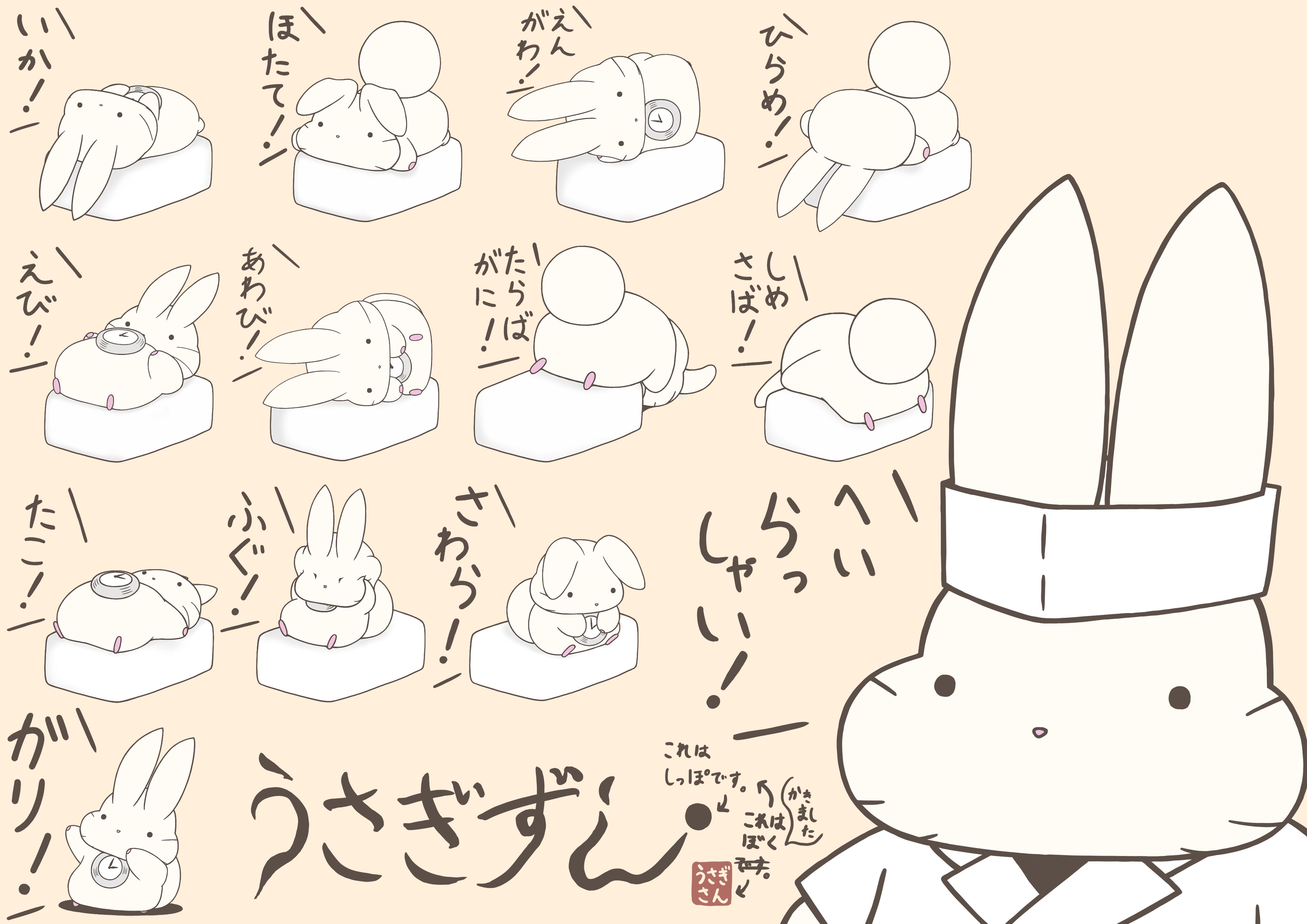うさぎさん2〜3日ちゃれんじ 10日め