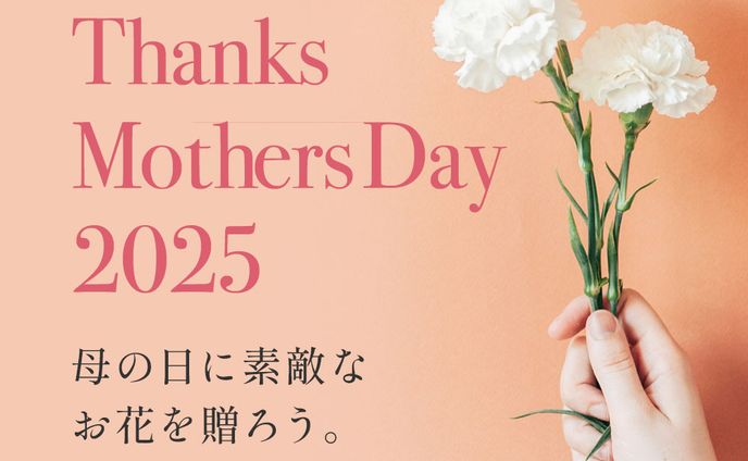 母の日キャンペーン