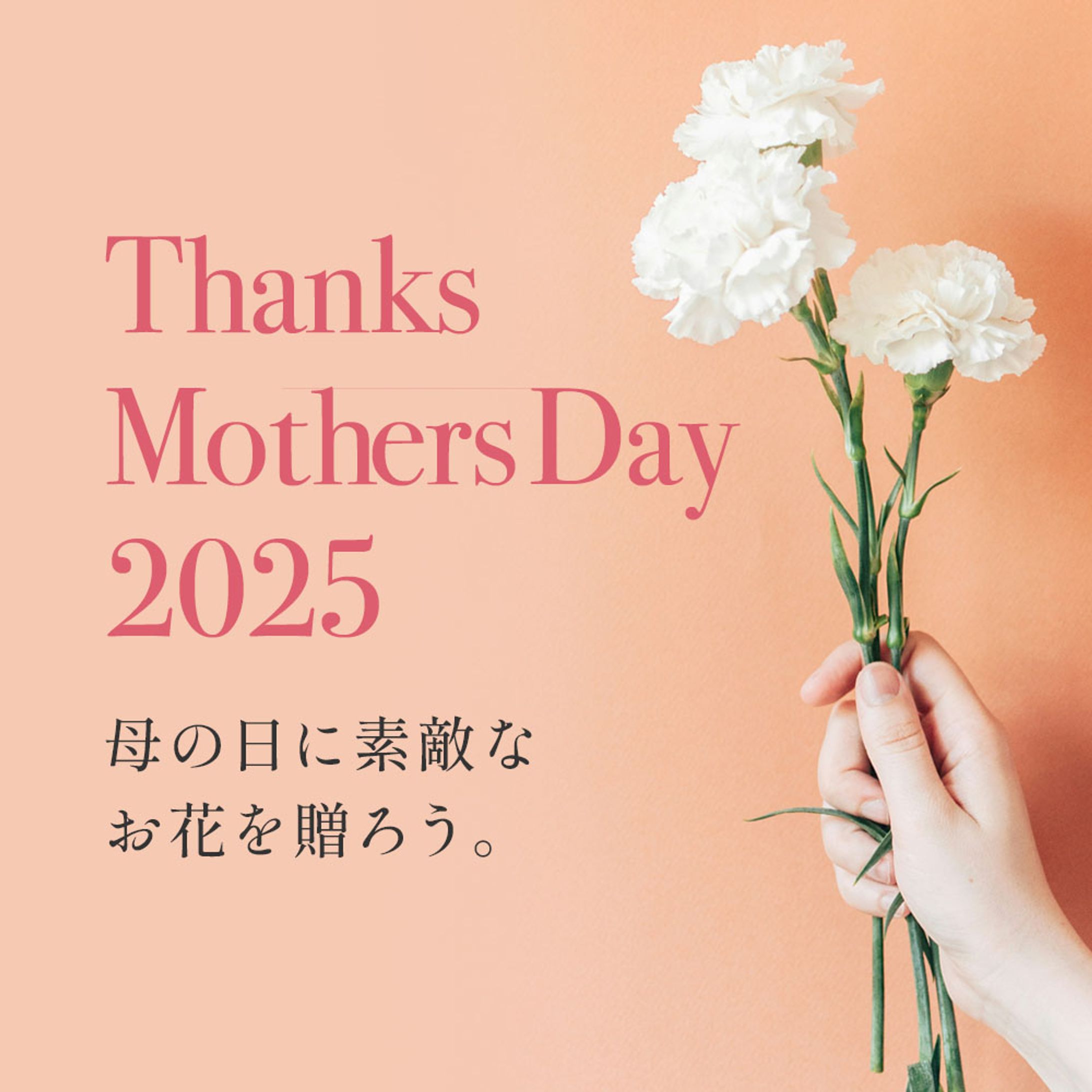 母の日キャンペーン-1