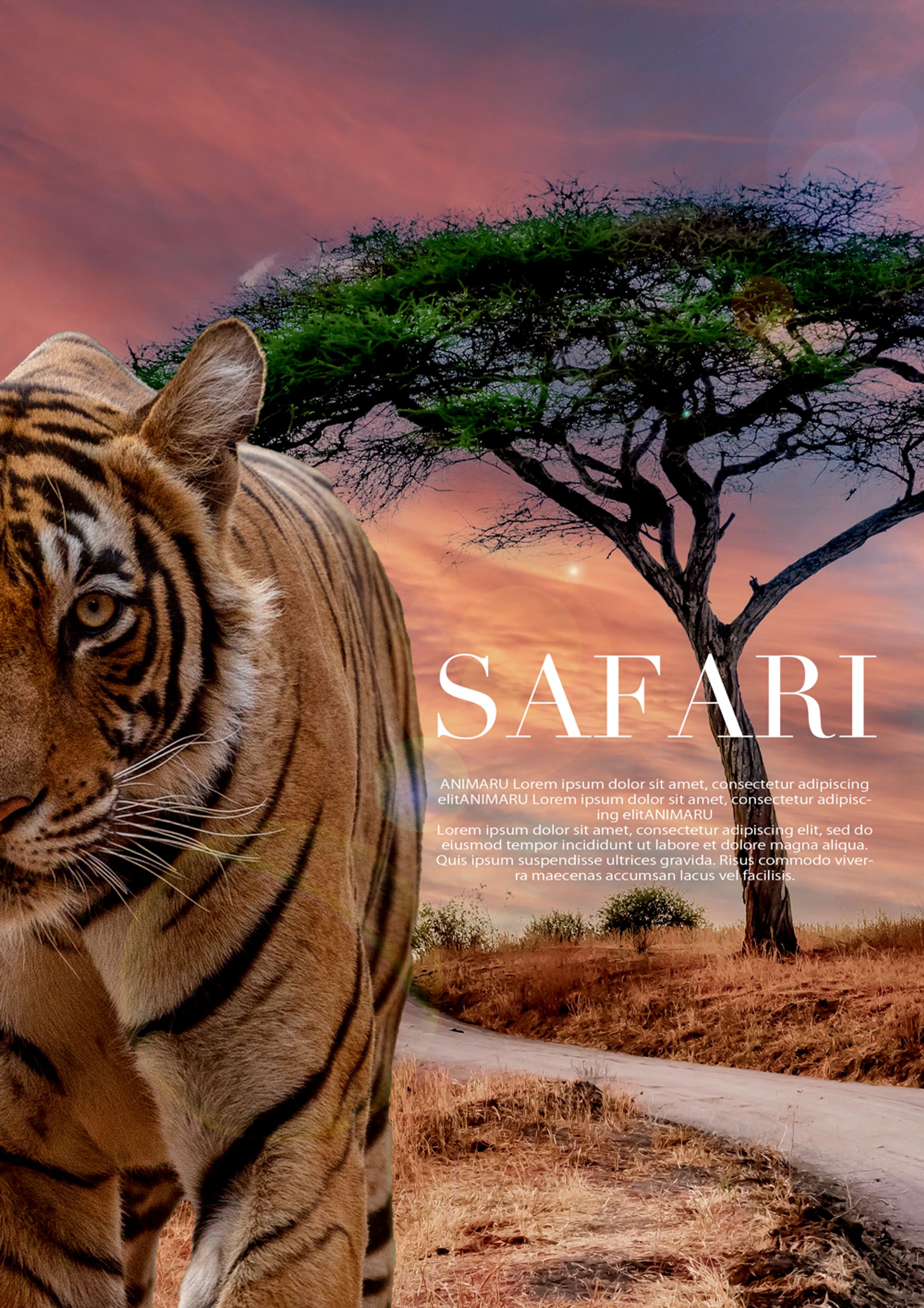 映画風ポスター　SAFARI-1