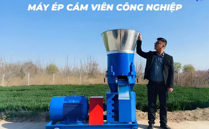 cho thuê bàn ghế、mv