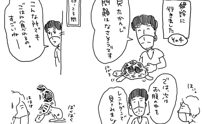 場所見知りしません！

#リクガメ
#ヒョウモンリクガメ
#亀のある暮らし
#健診
#かめすきさんと繋がりたい 
#イラスト