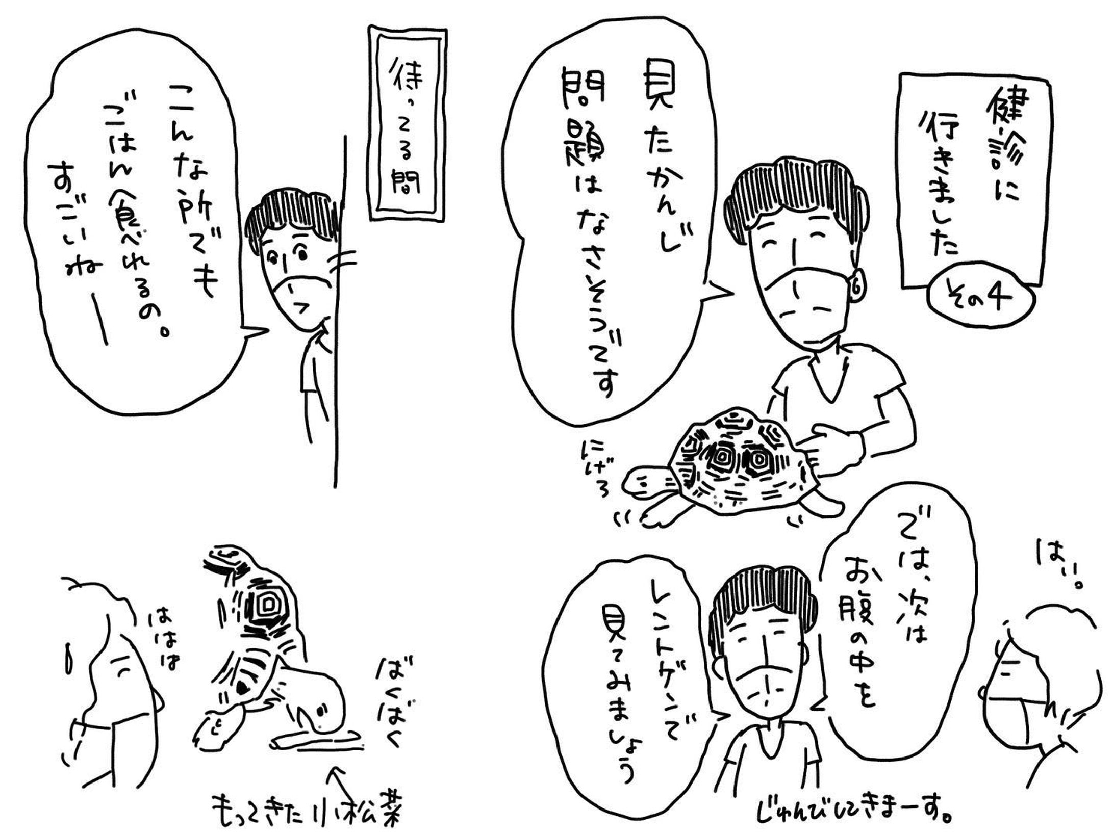 場所見知りしません！

#リクガメ
#ヒョウモンリクガメ
#亀のある暮らし
#健診
#かめすきさんと繋がりたい 
#イラスト-1