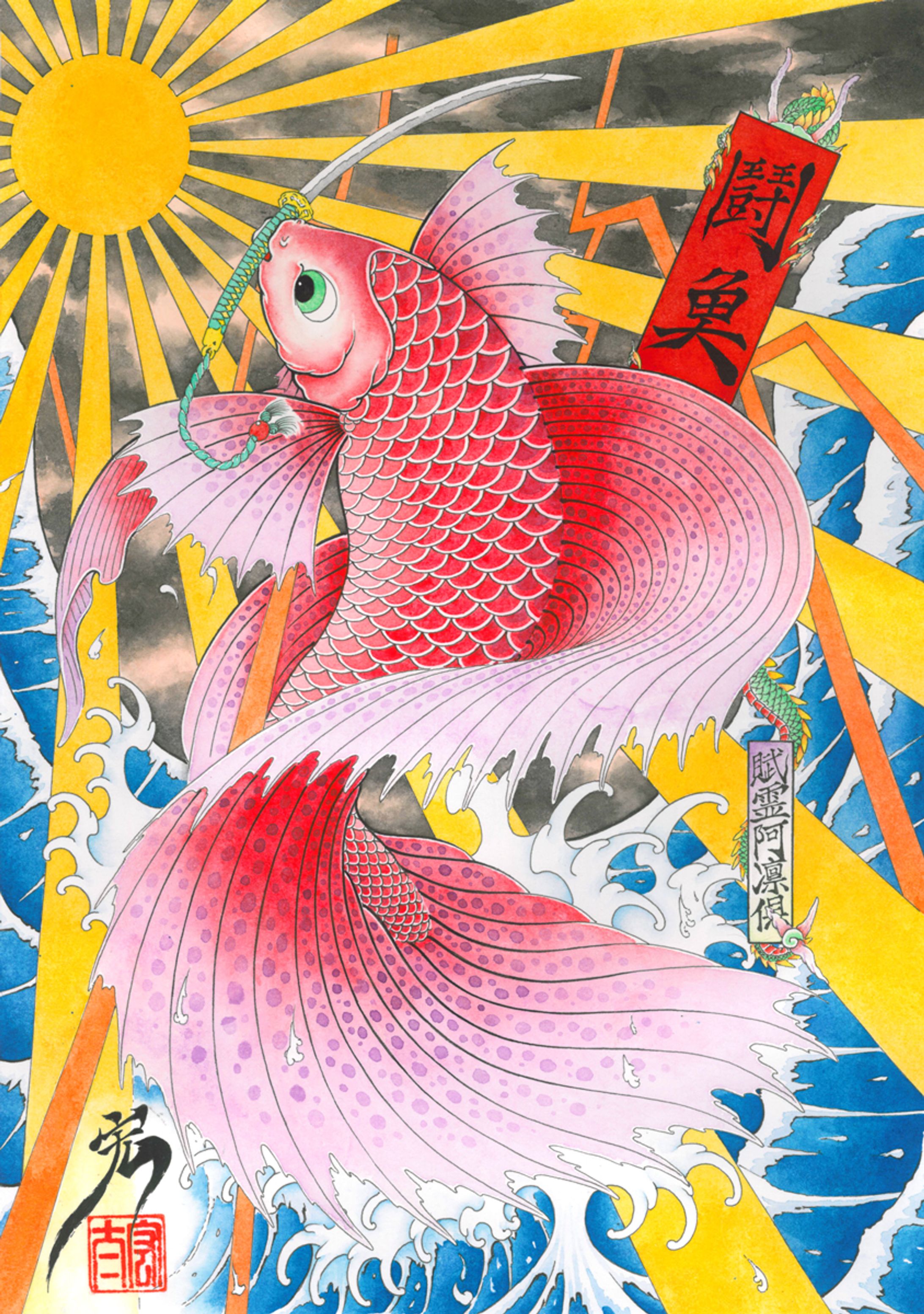 闘魚 betta-1
