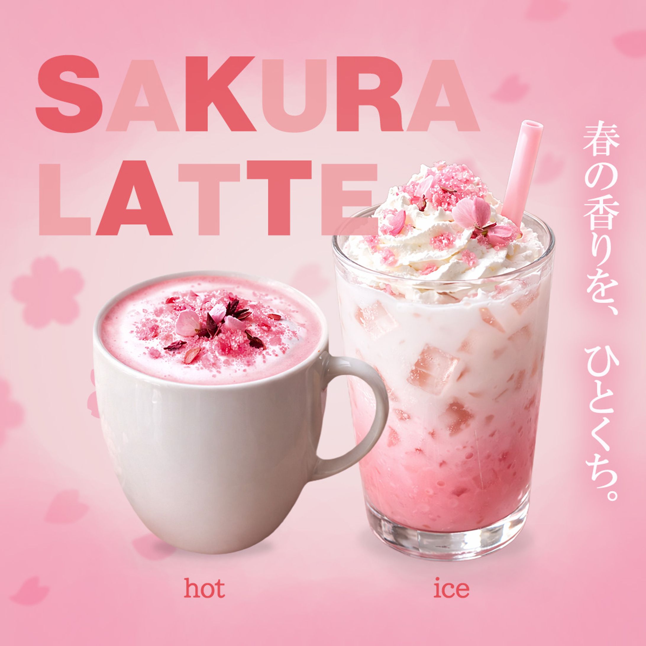 春限定 桜ラテバナー(架空)-1