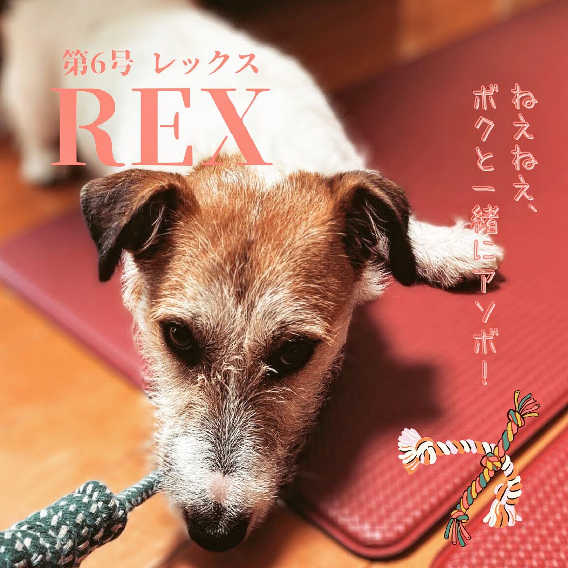 Canva/雑誌風デザイン（6）-1