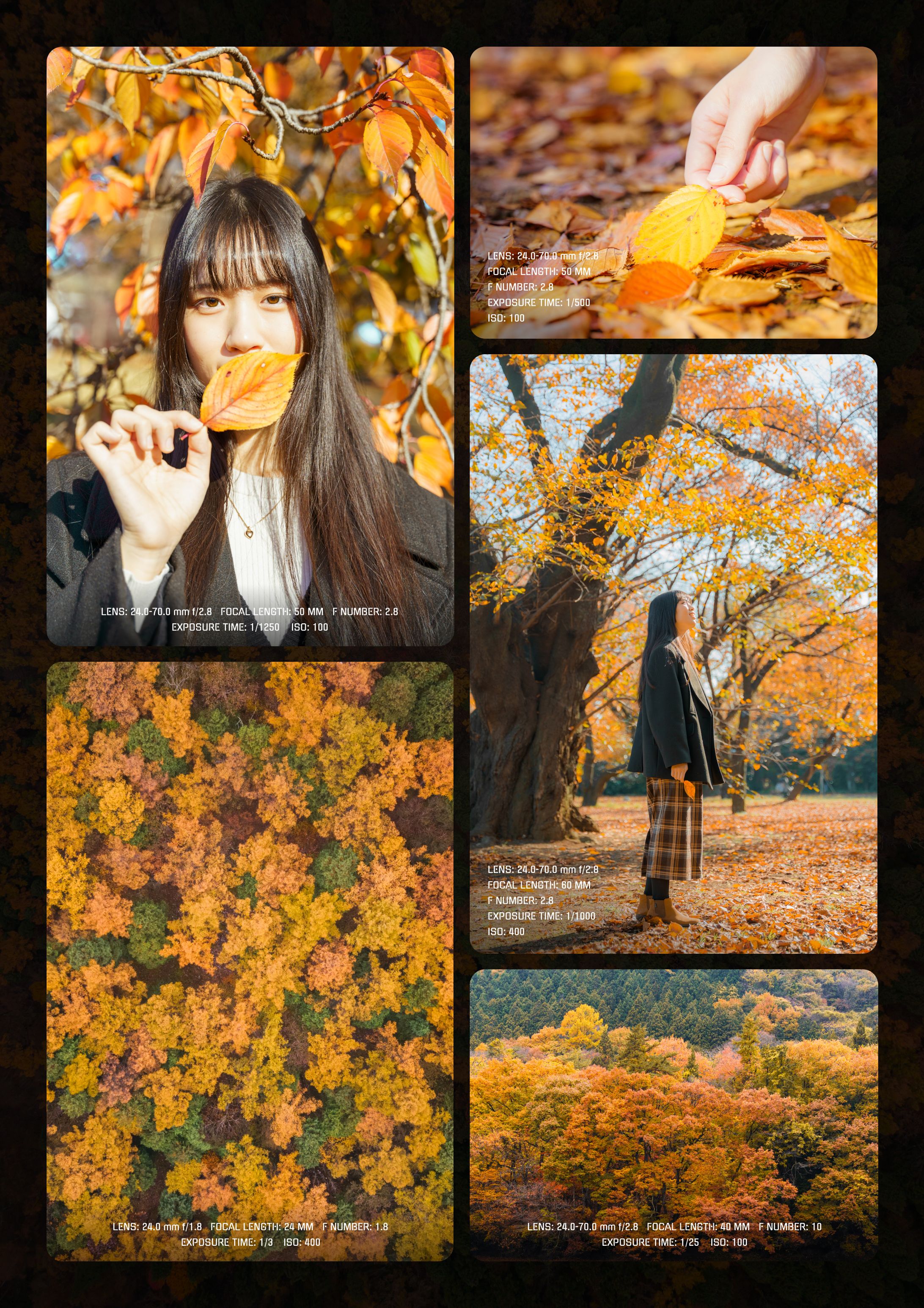 組み写真「秋、満ちる。」-1