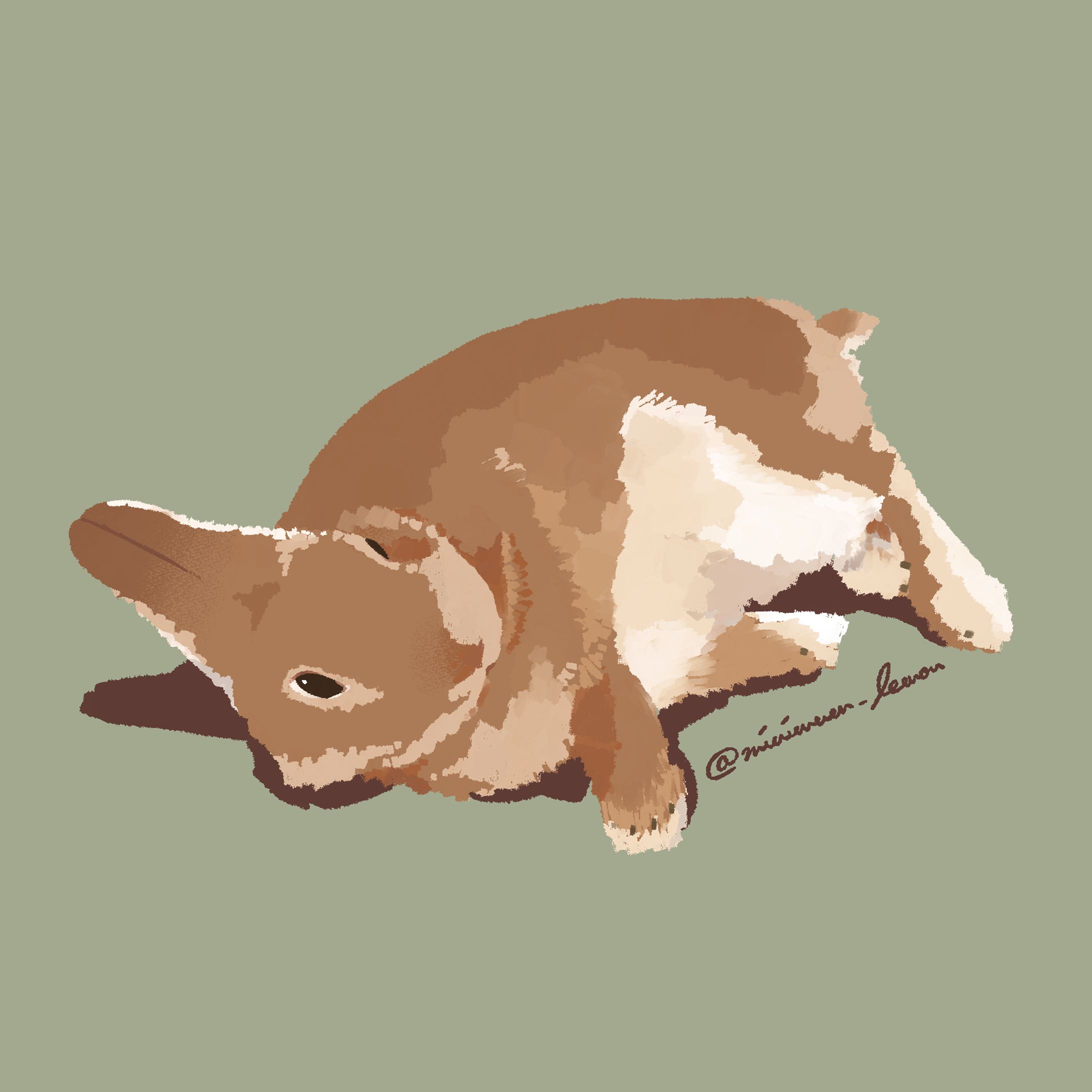 動植物スケッチ（2024）-1