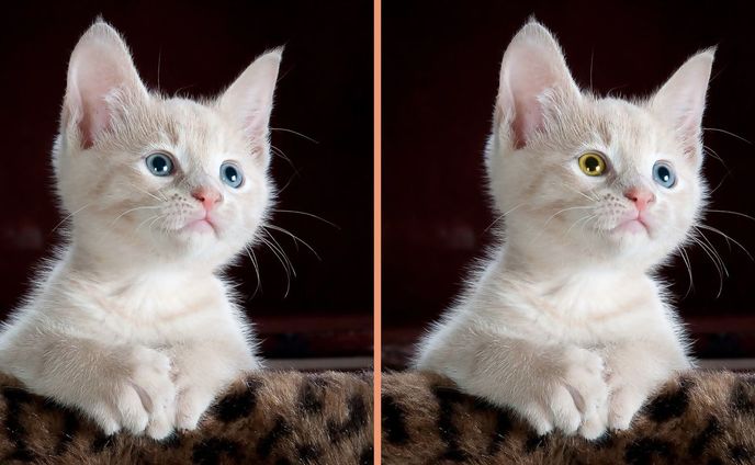 瞳の色を変更。オッドアイに加工