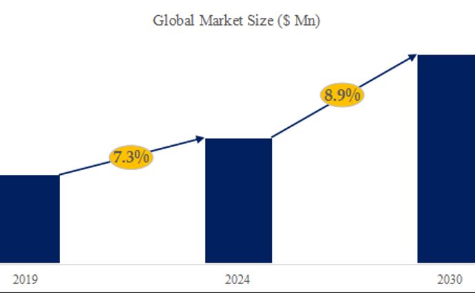 世界のネットワークパケットプロキシ市場調査：産業動向、シェア、市場規模、予測の分析レポート2024