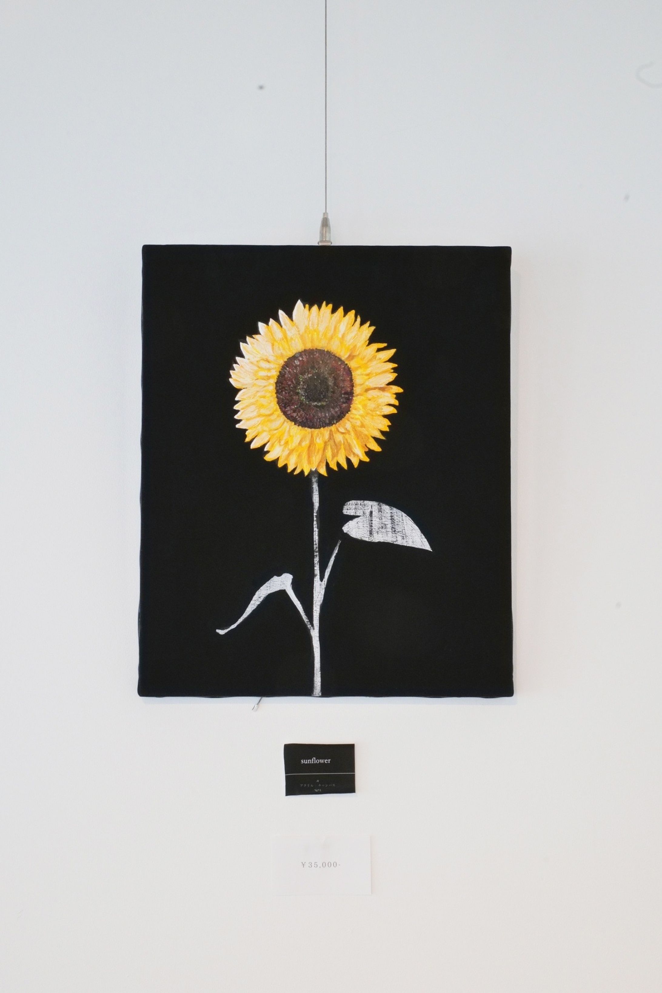 sunflower-1
