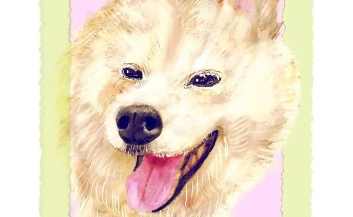 暮らし、物撮り