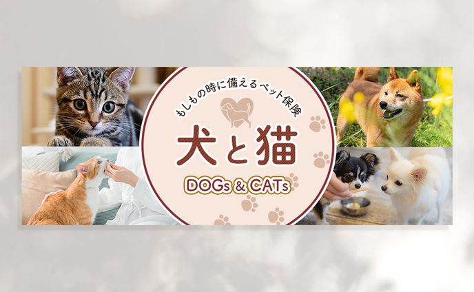 design、ライフスタイル