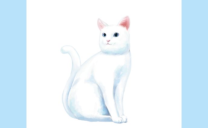 イラストレーション