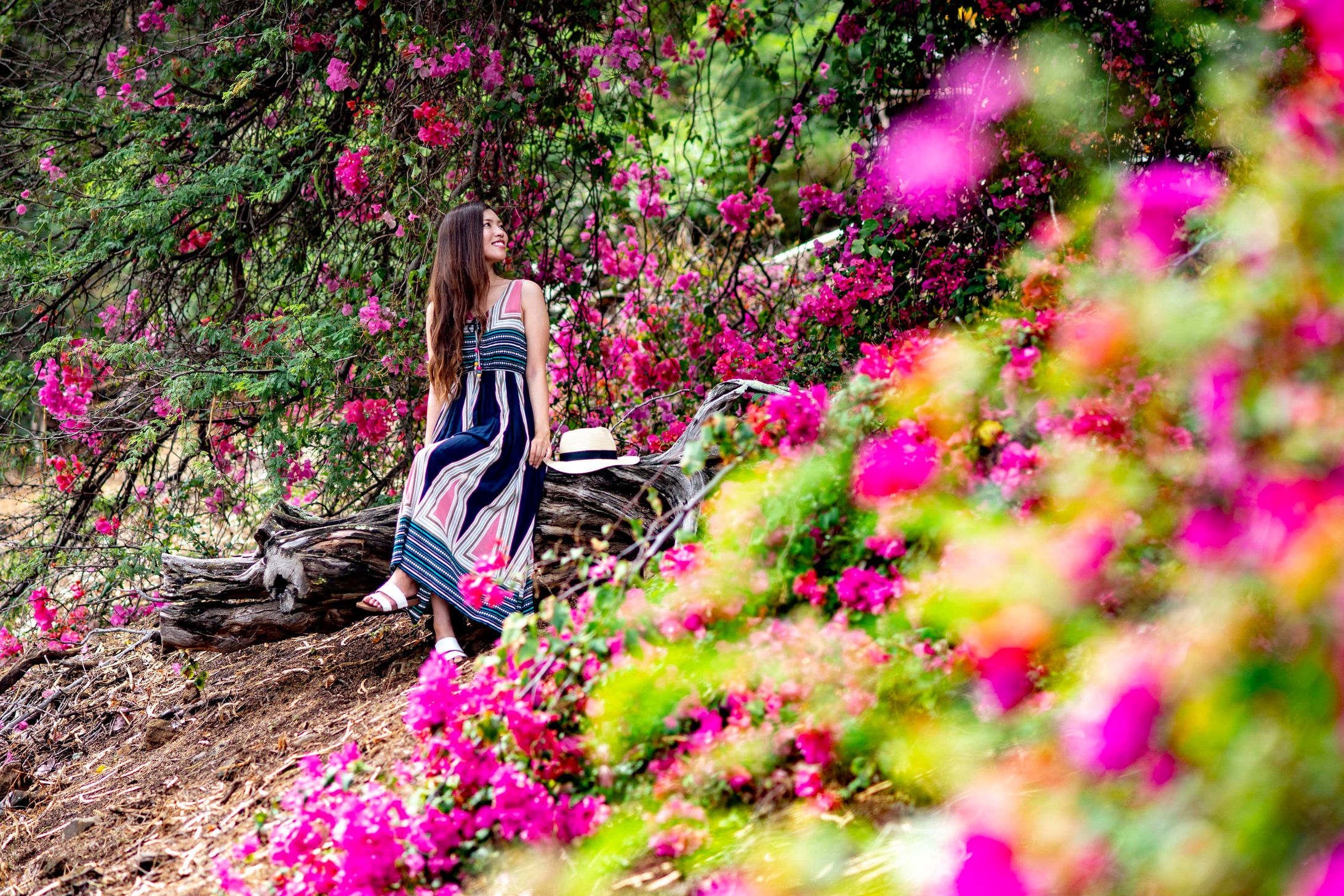 【モデル】Hawaii-1