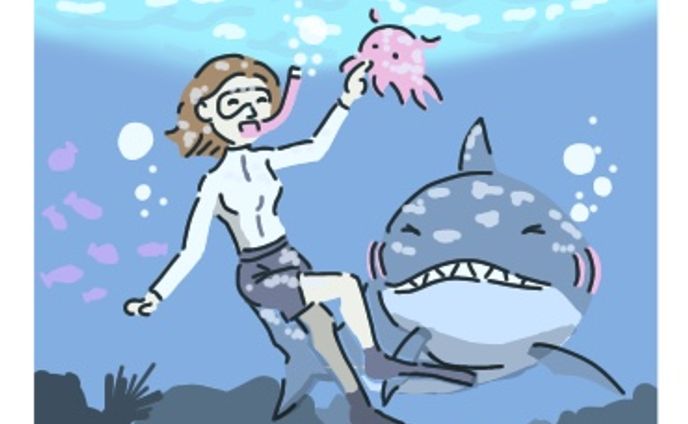 危ないよ！！「サメ」
