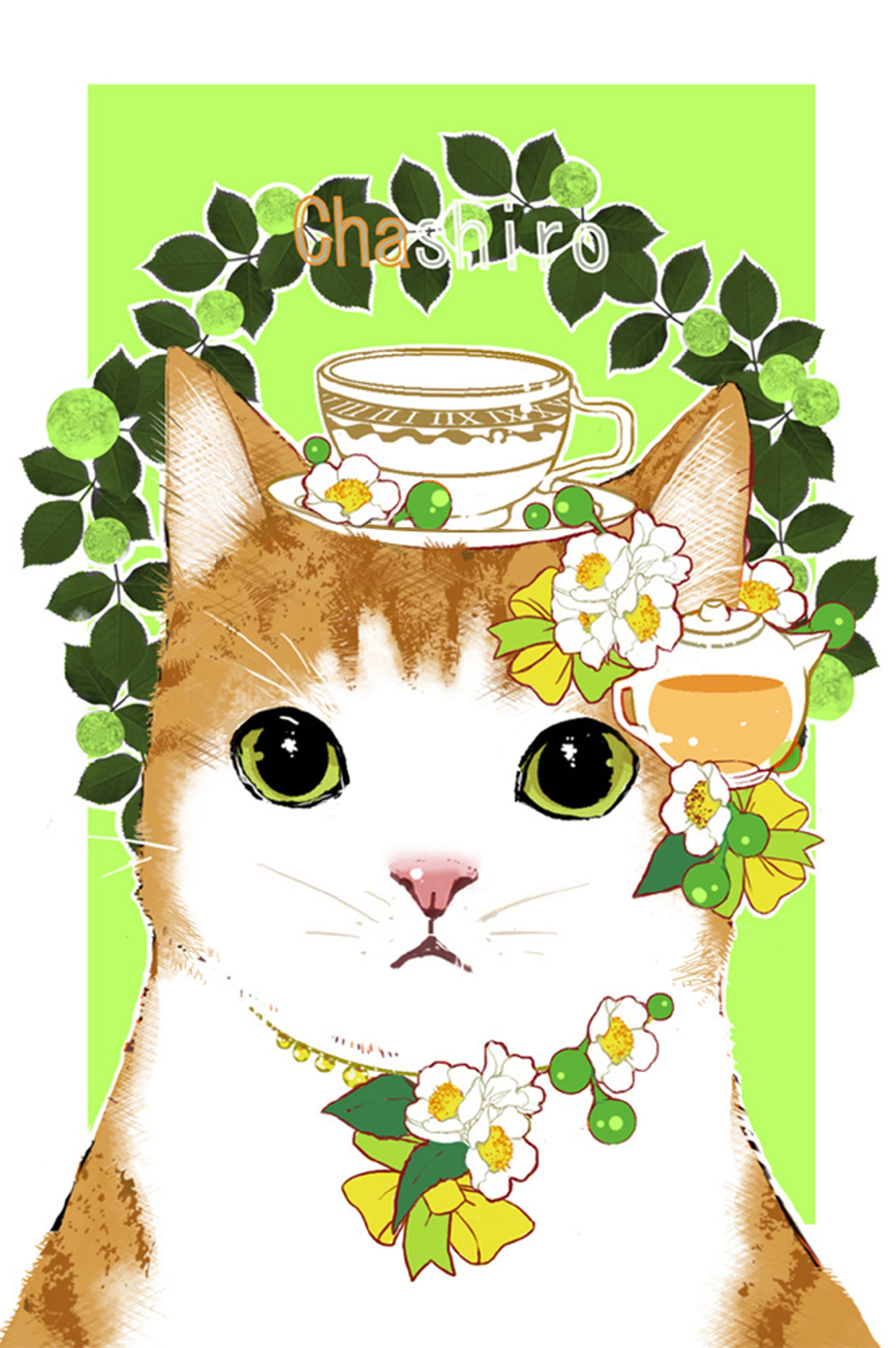 茶白ねこ-1