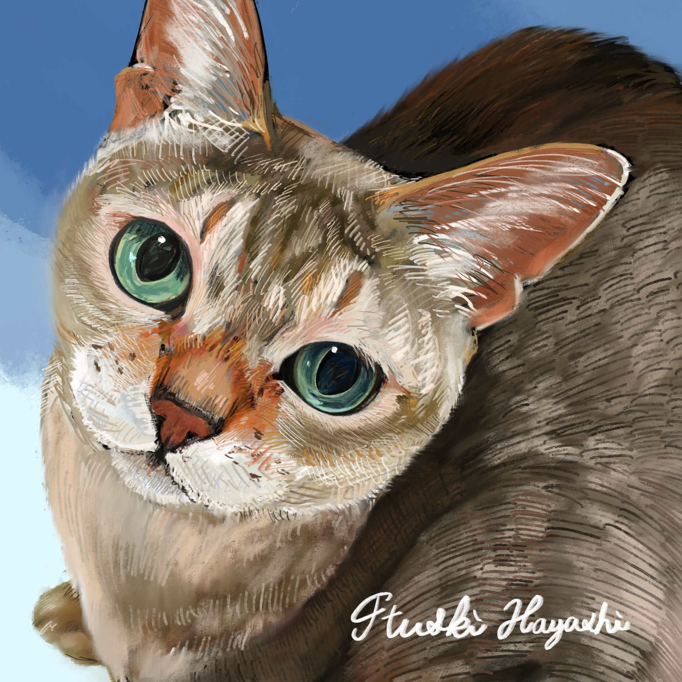 シンガプーラちゃん#イラストレーション #イラスト #illustration #ilovemycat #ねこすたぐらむ #catillustration  #catart  #絵画 #artlover  #ねこ好きさんと繋がりたい #にゃんこ部  #おしゃれさんと繋がりたい  #猫好きな人と繋がりたい  #にゃんすたぐらむ  #ねこのいる幸せ  #インテリアアート #猫のいる暮らし #procreate #シンガプーラ #Singapura #イラストオーダー #イラスト依頼 #オーダー #有償依頼 #似顔絵オーダー #似顔絵イラスト  #ペット似顔絵 #うちのこ-1
