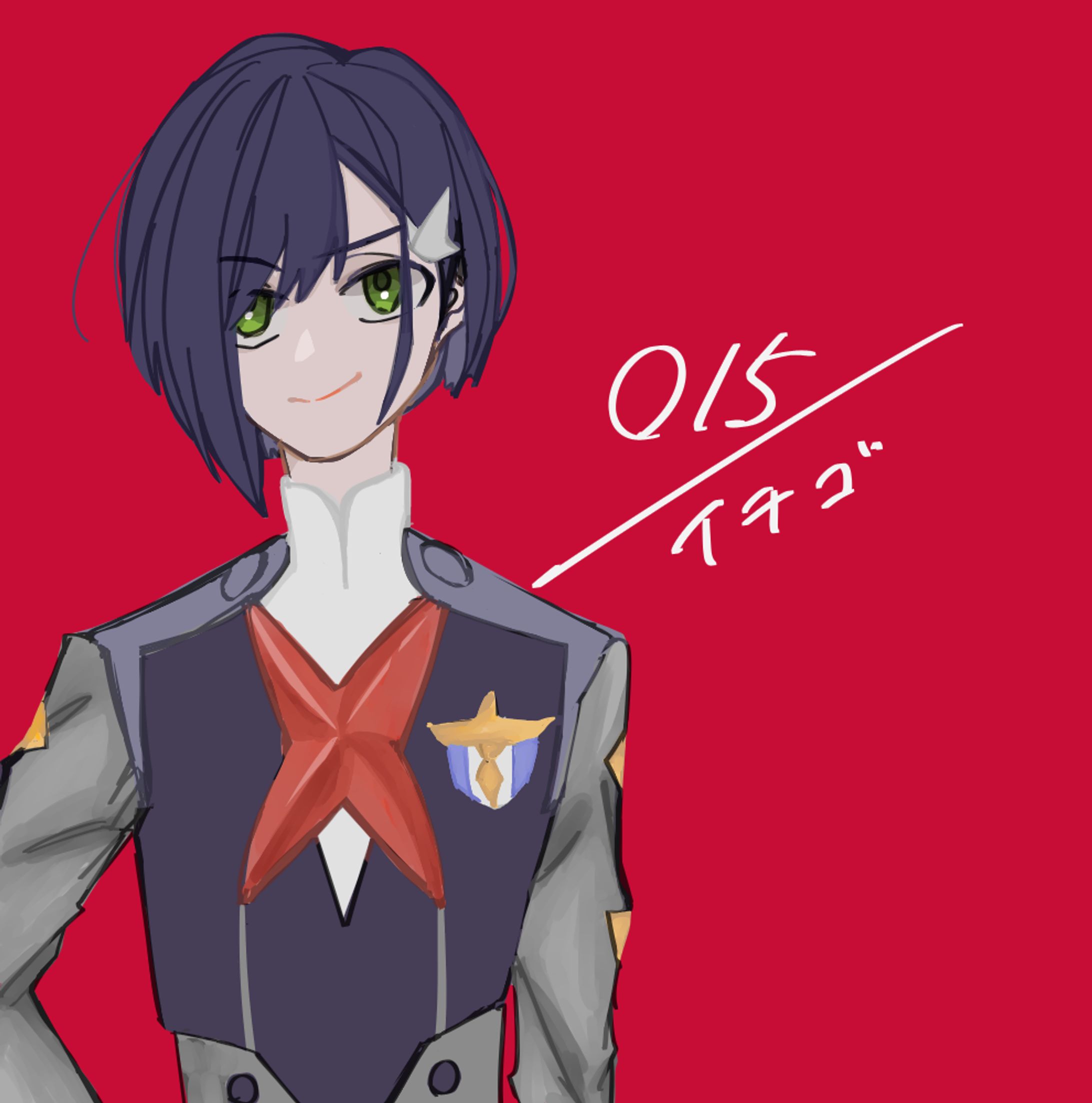 Code:015-1