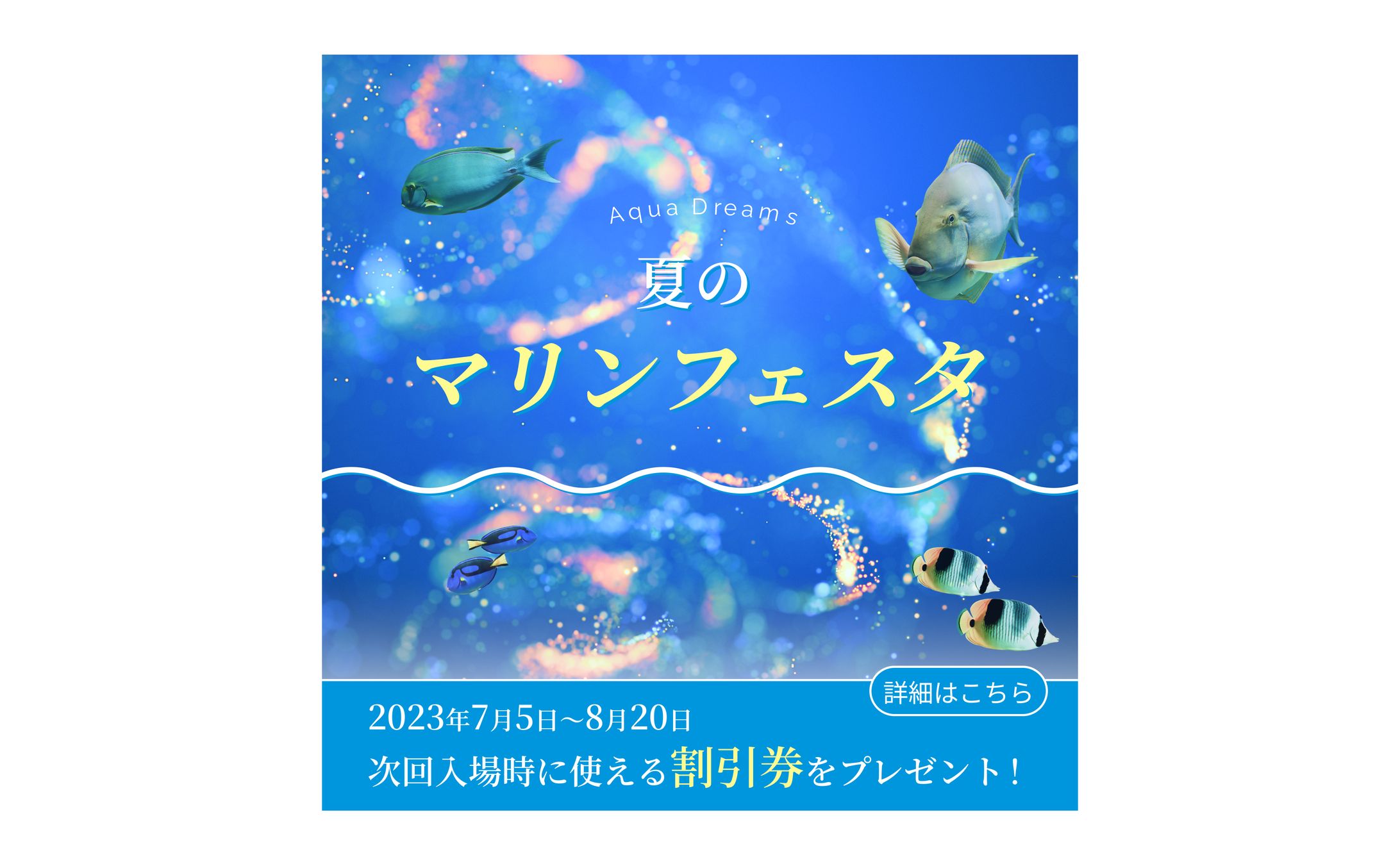 水族館　バナー-1