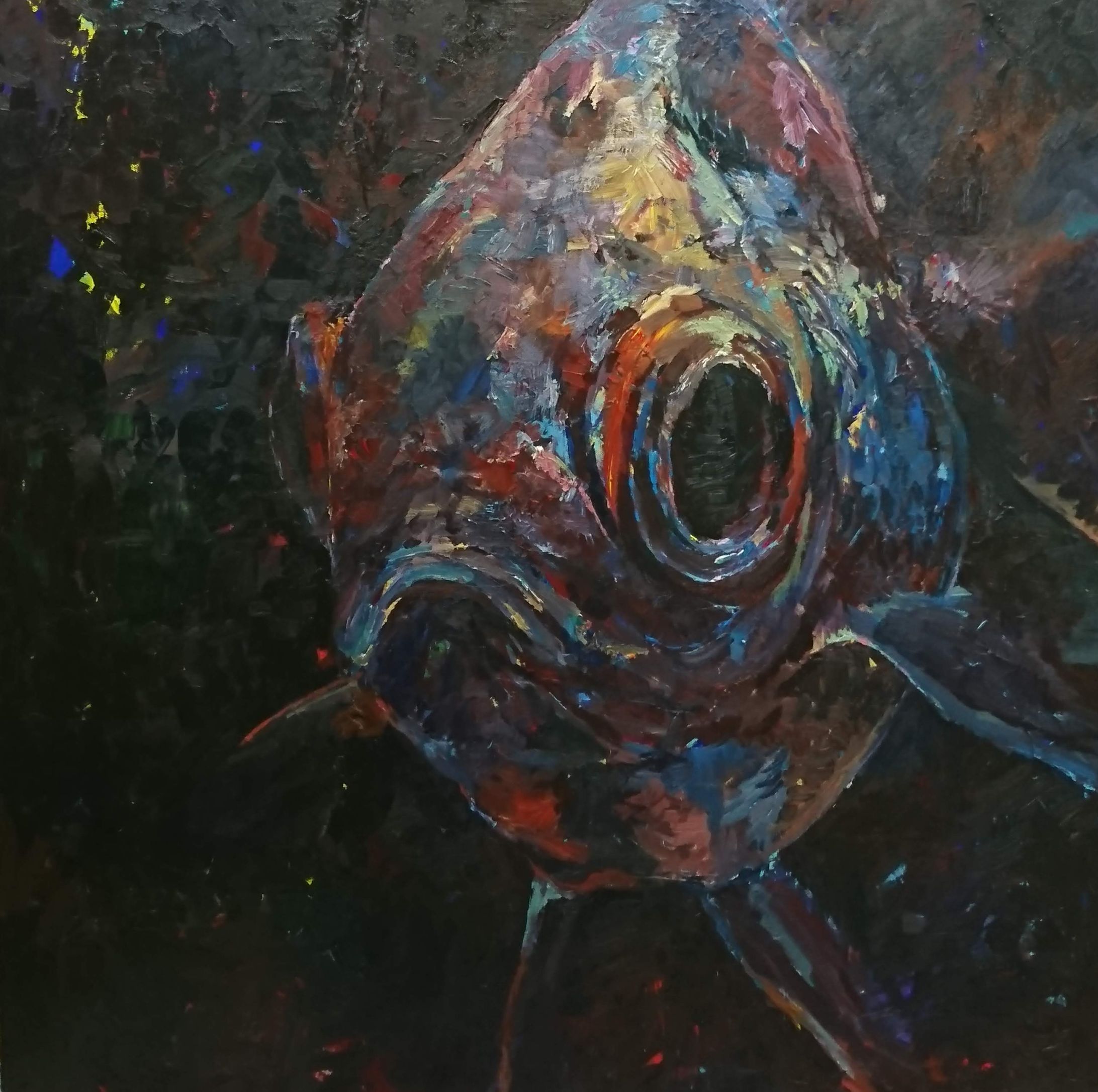 2019 10月　金魚-1