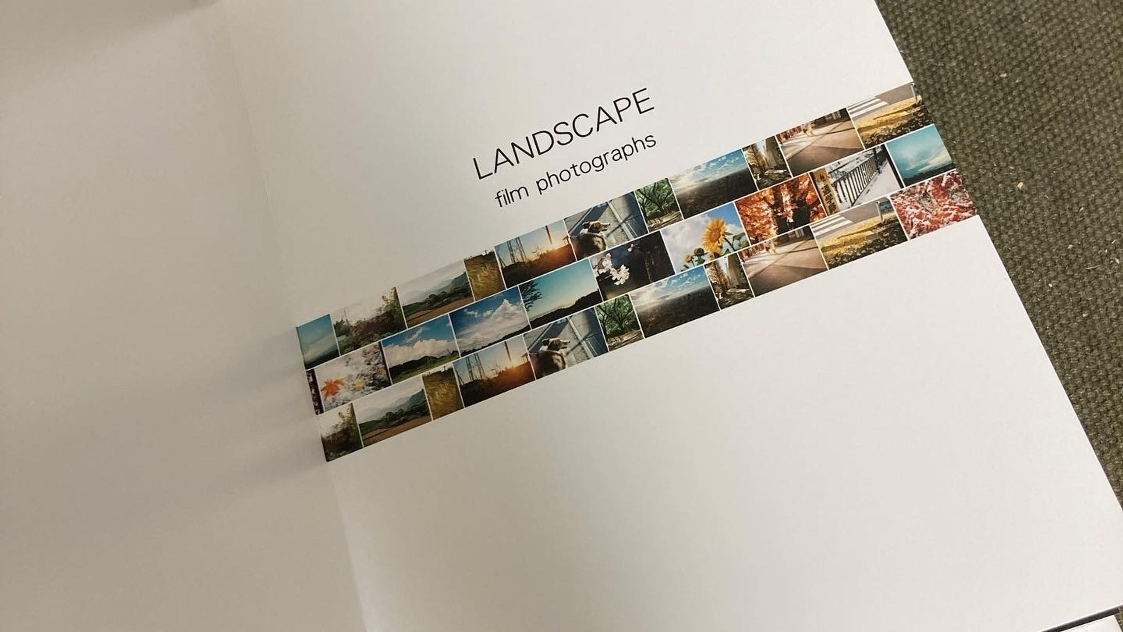 LANDSCAPE -1
