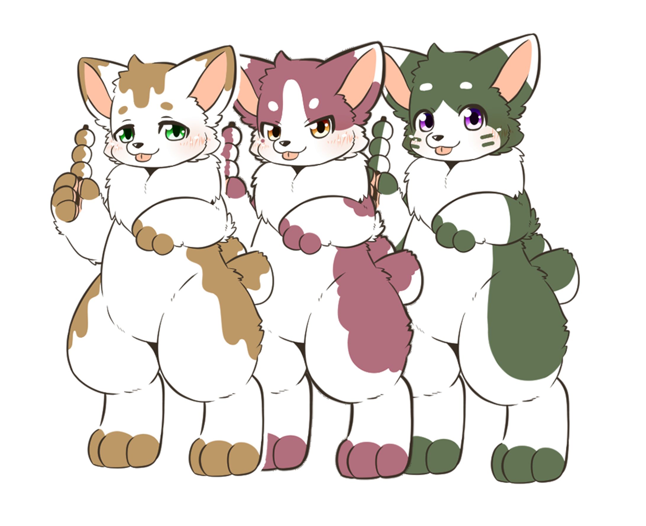 お団子ねこ３兄弟-1