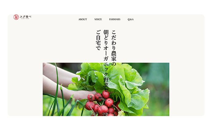 LP制作｜スグ食べ（宅配野菜）